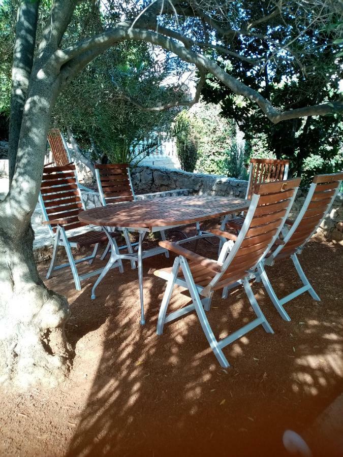 Apartment Pepi Povljana Εξωτερικό φωτογραφία